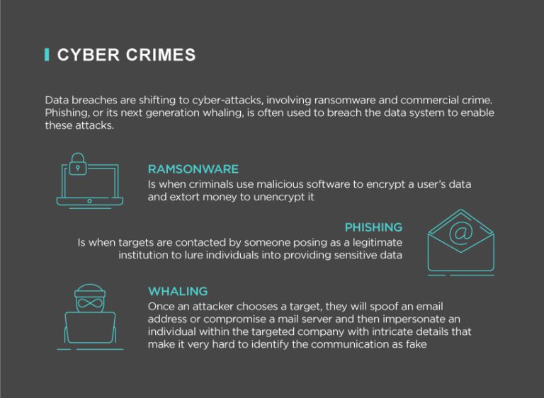 Cyber Liability Infographic | Clements Worldwide